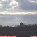 08_10-mast.jpg