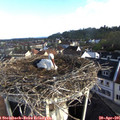 08_10-nest.jpg