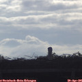 08_35-mast.jpg