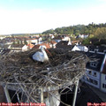 08_35-nest.jpg