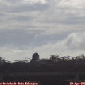 09_05-mast.jpg