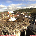 09_10-nest.jpg