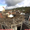 09_25-nest.jpg