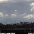 09_55-mast.jpg