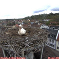 10_05-nest.jpg