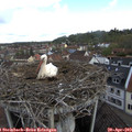 10_25-nest.jpg