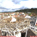10_30-nest.jpg