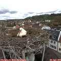 10_35-nest.jpg