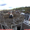 10_55-nest.jpg