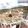 11_15-nest.jpg