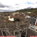 12_05-nest.jpg