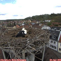 12_50-nest.jpg