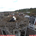 12_55-nest.jpg