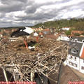 13_05-nest.jpg