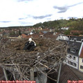 13_10-nest.jpg