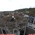 13_15-nest.jpg