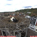 14_10-nest.jpg