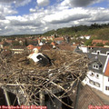14_30-nest.jpg