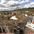 15_00-nest.jpg