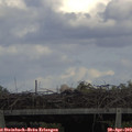 15_05-mast.jpg