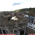15_05-nest.jpg