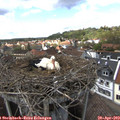 15_10-nest.jpg