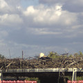 15_30-mast.jpg