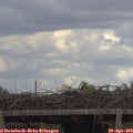 15_50-mast.jpg