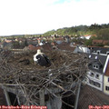 15_55-nest.jpg