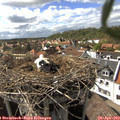 16_15-nest.jpg