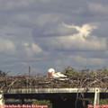 16_35-mast.jpg
