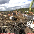 16_45-nest.jpg