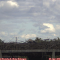 17_00-mast.jpg