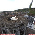 17_15-nest.jpg