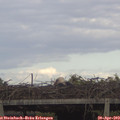 17_20-mast.jpg