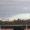 17_25-mast.jpg