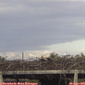 17_30-mast.jpg