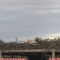 17_40-mast.jpg