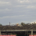 17_45-mast.jpg