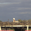18_05-mast.jpg