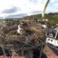 18_10-nest.jpg