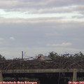 18_20-mast.jpg