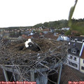 18_25-nest.jpg