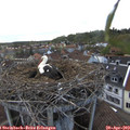 18_30-nest.jpg
