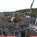 18_40-nest.jpg