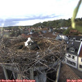 18_45-nest.jpg