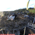 19_40-nest.jpg