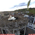 20_00-nest.jpg