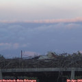 20_05-mast.jpg