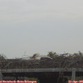06_30-mast.jpg